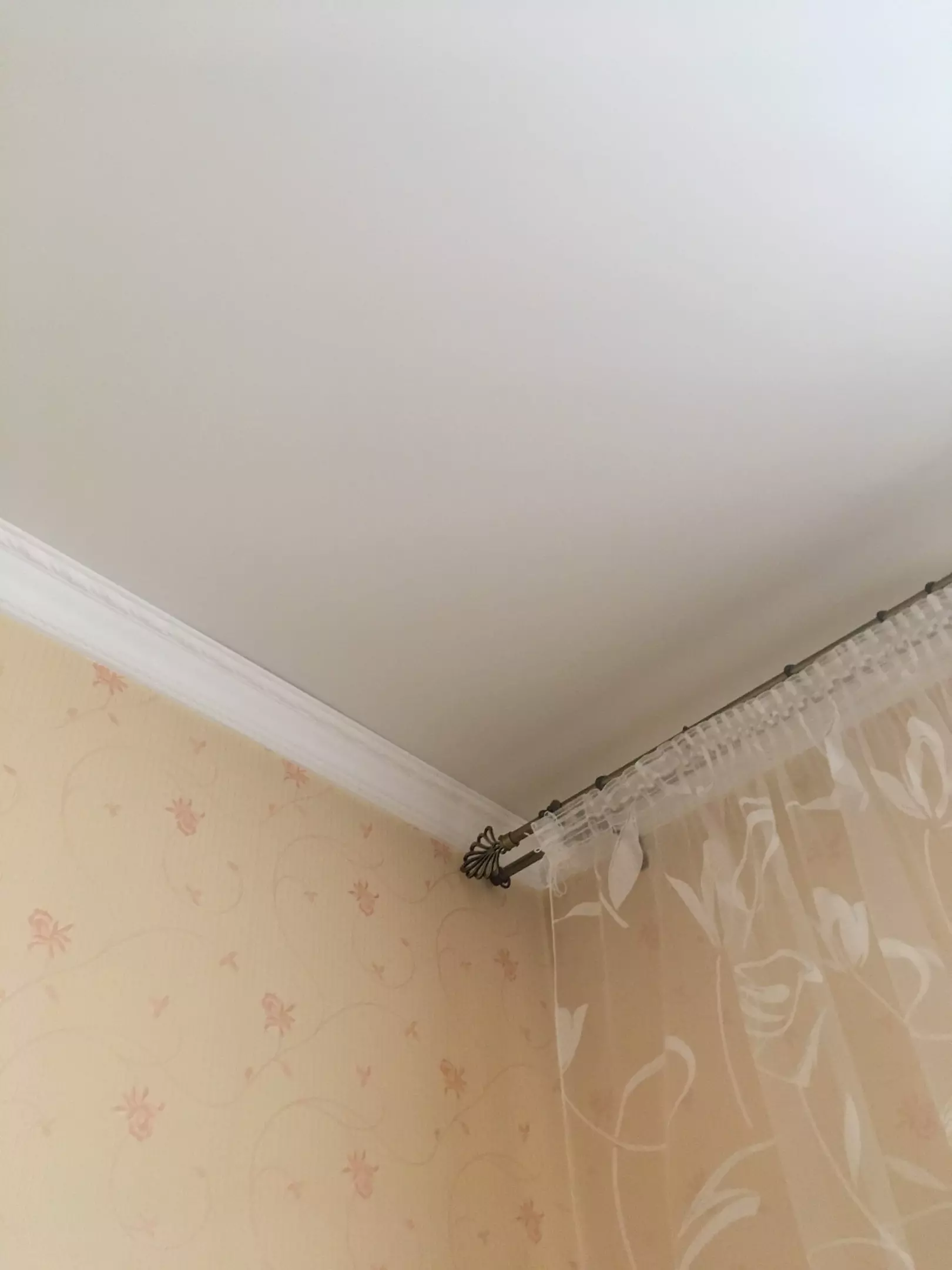 Ялта, Киевская улица, 50, фото 1